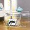 elegant design clear custom wholesale acrylic coffee table/acrylic trunk coffee table