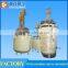 Stainless Steel Mixing Reactor with Agitator