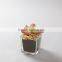 Flora Bunda Outdoor Decor Wholesale Artificial Potted Succulent Plants in glass pot