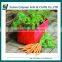 New design garden vegetable PE grow bags