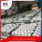Galvanized grassland wire mesh fence