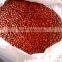 BEST QUALITY RED BOLD PEANUT