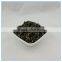 Small Bowl Agaric, Fungo preto, Hongo negro