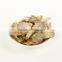 oyster mushroom chips/Mushroom Product Type healthy snack