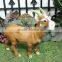 Realistic Taxidermy Replica Figurine Brown Mountain Goat