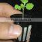 (5#)Foam collar for starting seeds and support plant in net cup,Nursery Pots. .Cloner collars for hydroponics system