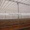 Commercial Greenhouses China