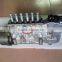 Excavator injection pump 106067-6920/106067 6920