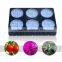 Hot Seller Silent Fan Design Grow Led Light Led Grow Lighting