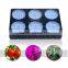 High PAR Led Grow Light For Hydroponic