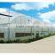 chengdu BaoLiDa low price 20 micron polythene greenhouse pe film greenhouse