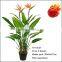 Hot Sale Flowering Artificial Strelitzia Tree