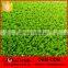 Cheap Multi-functional SPORTS Artificial Grass Quality Plastic Turf Lawn 30mm 551325