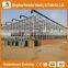 Shan Dong high quality greenhouse equipment - glass panels greenhouse for sale