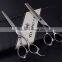 QJ-HC71 Beautiful hair scissors set salon hair scissor