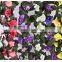 artificial flower vines , wedding ivy garland NKG177