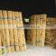 different sizes tonkin bamboo stakes/poles/canes for agriculture