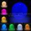 Light up Balloon for Christmas Party Decoration