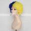 Ukraine Synthetic Afro Twist Wigs FGW-0024