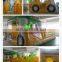 New arrived PVC Tarpaulin indoor using Inflatable Train Bouncer Combo