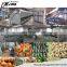 500kg /h Complete Cashew Nut Production Line/Cashew sheller processing machine