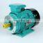 11kW 2p High Efficiency Asynchronous AC Electric Three Phase Water Pump IE2 15 hp induction motor