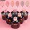 Gel colors factory 6 colors color uv gel nail polish nude series jelly gel polish 10ml private label