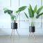 Latest Favourable Price Fancy New Luxury Garden Metal Plain Plants Flower Pot Outdoor