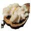 Walnut Kernelse Walnut Conventional Vina 36mm Walnuts