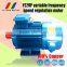 132kw 2 pole YVP series frequency variable motor