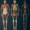86 inch medical teaching machine 3D virtual anatomy table human database multi-functional medical education system