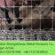 Grassland Fence/field fence/ cattle fence/annimal fence/sheep fence/ wire mesh fence