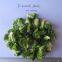 manufacturer best selling freeze dried broccoli