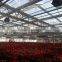 Large Glass Used Commercial Greenhouse with Cooling System