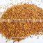 hot sale high yield forage seeds for sale