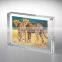 China OEM/ODM acrylic sexy funia picture photo frame