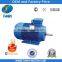 Y2 Cast Iron Three Phase Electrical Motor