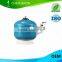 Swimming pool filter for water treatment