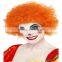 Multi Color Afro Wig Clown Disco Circus Costume Curly Hair Wig Adult Child