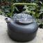 Outdoor kettle Coffee pot Camping teapot portable kettle 0.8 L Coffee pot