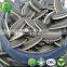 Sunflower Seeds Kernels Confectionary and Bakery Grade