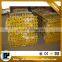 Formwork Adjustable Height Steel Shoring Props