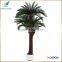 hot sale plastic potted artificial cycas revoluta tree for sale