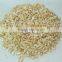 High quality Vietnam cashew kernels grade WW320, WW450, WS for Egypt