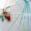 3mm-----12mm clear float glass( high quality)