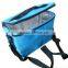 Outdoor Cooler Bag for frozen food
