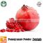 100% organic pomegranate seed powder for pomegranate fruit juice