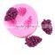 New Production Grapes Shaped Silicone Fondant Mould