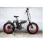 20inch Carbon Painting Finish Fat Bike With 20*4.0 Kenda Fat Tyre ( HJ-F25 )