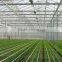 Commercial Greenhouse for agriculture